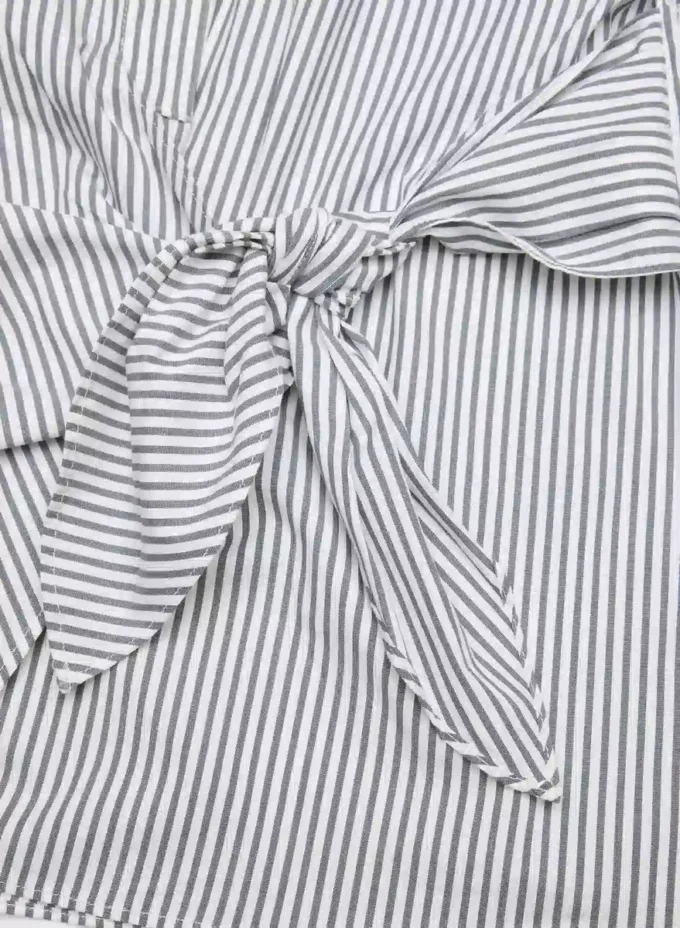 Chemise en popeline Blueprint