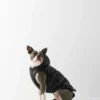 The Super Ruff Puff™ – Hi-Gloss