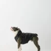 The Super Ruff Puff™ – Hi-Gloss