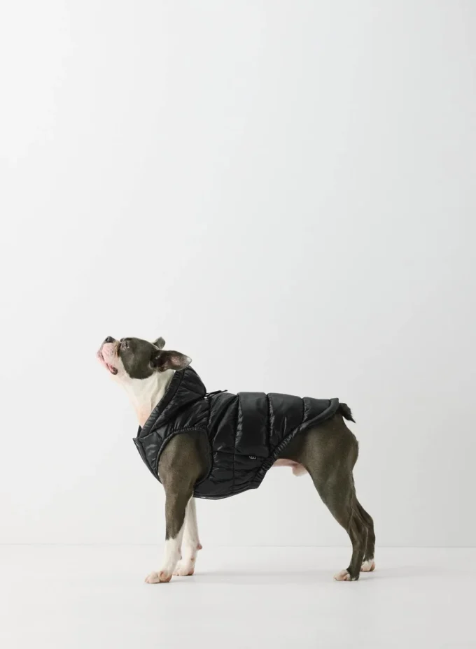 The Super Ruff Puff™ – Hi-Gloss