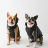The Super Ruff Puff™ – Hi-Gloss