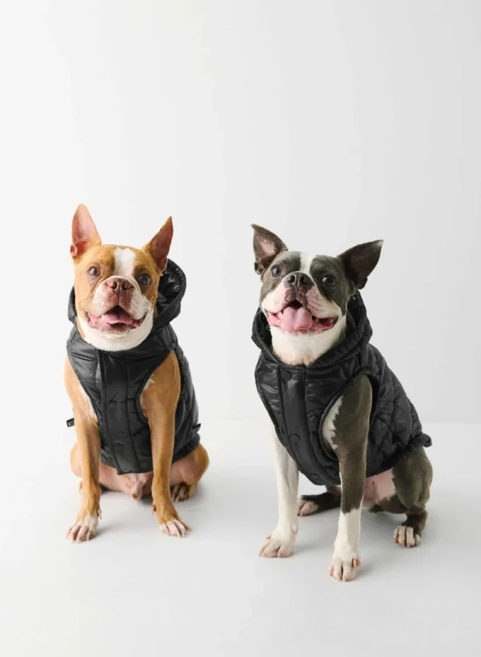 The Super Ruff Puff™ – Hi-Gloss