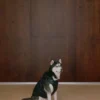 The Super Ruff Puff™ – Hi-Gloss